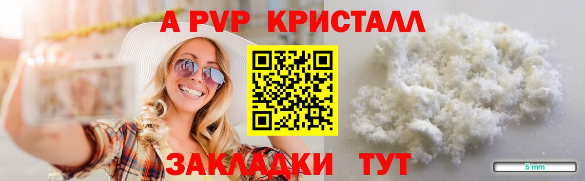 A PVP СК КРИС Клинцы