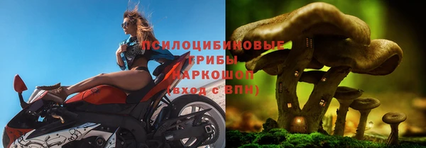 a pvp Козельск