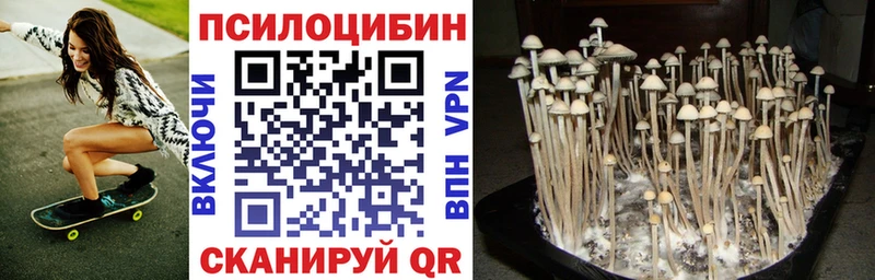 Галлюциногенные грибы Magic Shrooms  Клинцы 