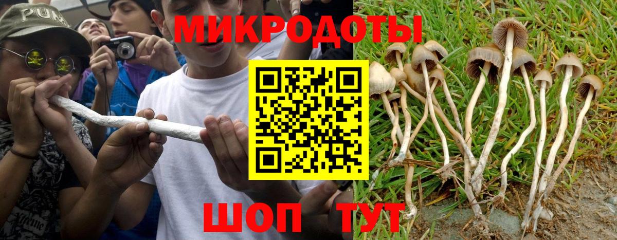 Клинцы  Галлюциногенные грибы Cubensis  Вход с VPN  Псилоцибиновые грибы MAGIC MUSHROOMS 