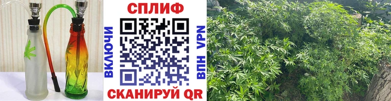 Бошки марихуана SATIVA & INDICA  дарнет шоп  Клинцы 