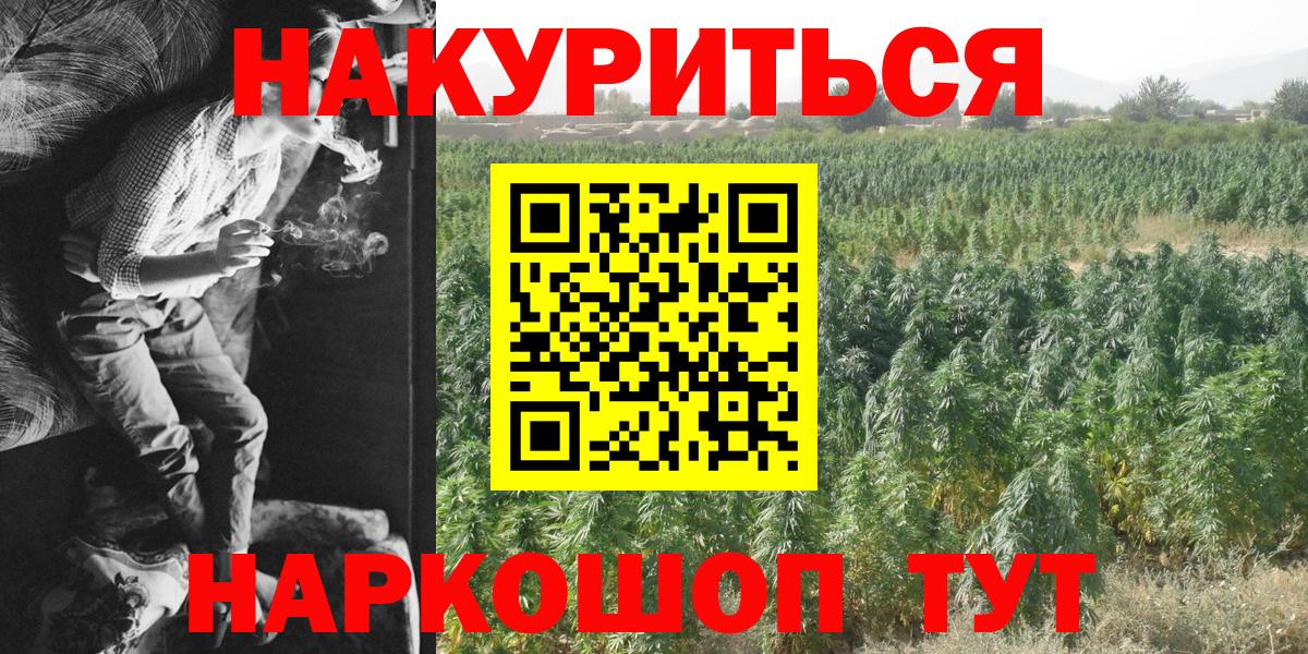 Конопля Клинцы